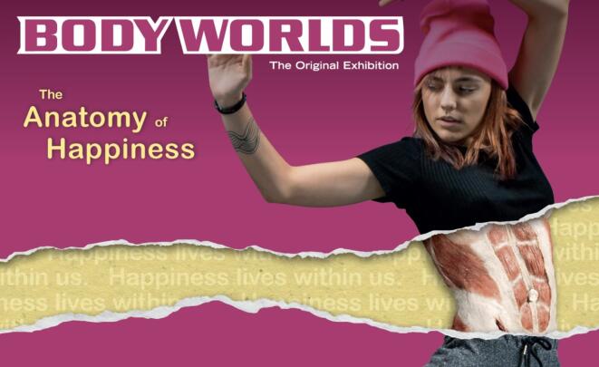 BODY WORLDS The Anatomy of Happiness