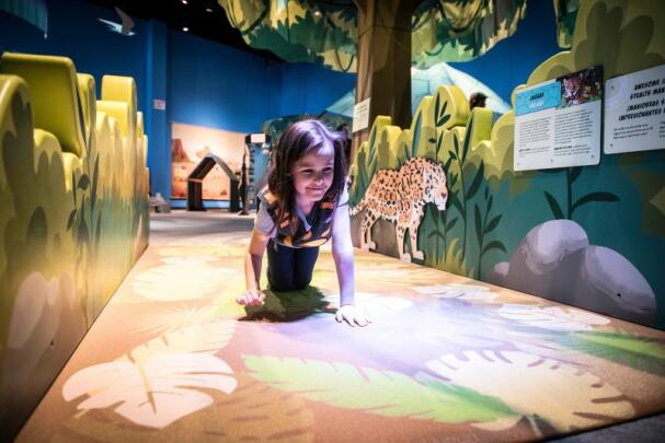 Wild Kratts: Creature Power!