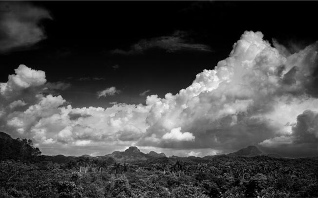CUBA: The Natural Beauty -- The Photographic Expeditions of Clyde Butcher