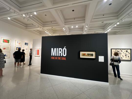 Joan Miro: Fire in the Soul