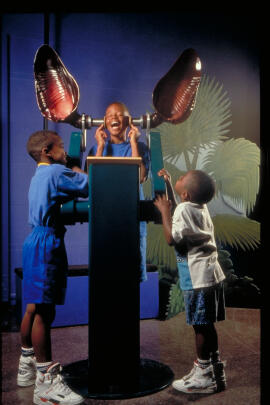 Masters of the Night: The True Story of Bats