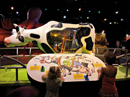 Animal Grossology