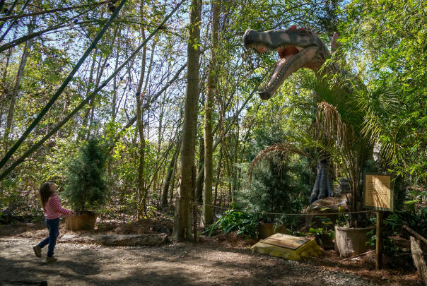 Dinosaurs Around the World - OUTDOOR