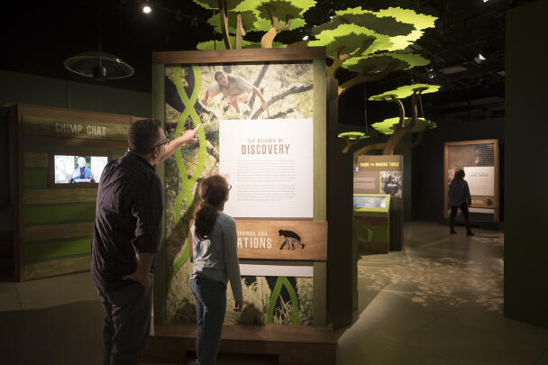 Becoming Jane: The Evolution of Dr. Jane Goodall