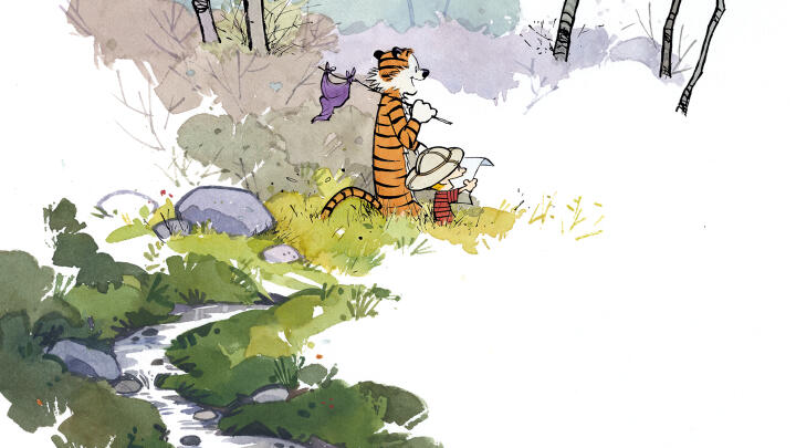 Exploring Calvin and Hobbes