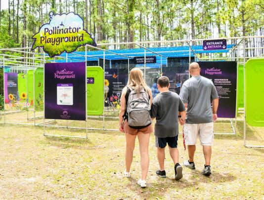 Pollinator Playground