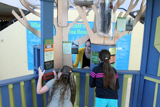 TreeHouses: Look Who's Living in the Trees