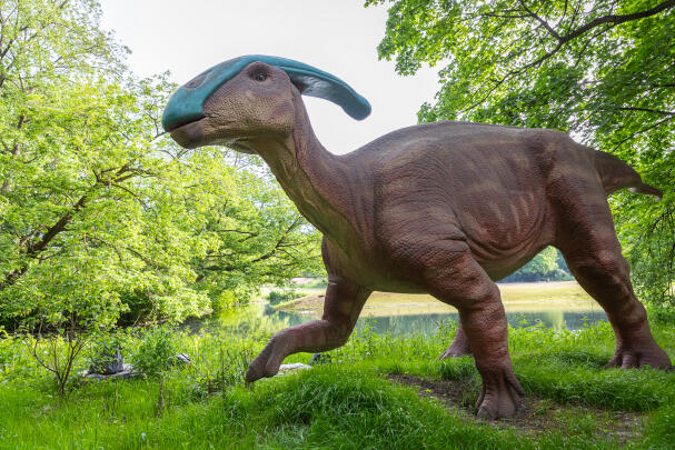 Custom Dinosaur Exhibitions