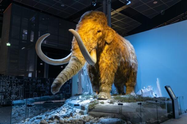 Giants of the Ice Age (Indoors)