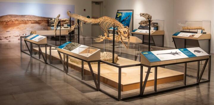 Sea Monsters Unearthed