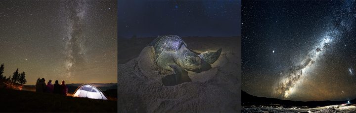 Lights Out: Recovering Our Night Sky