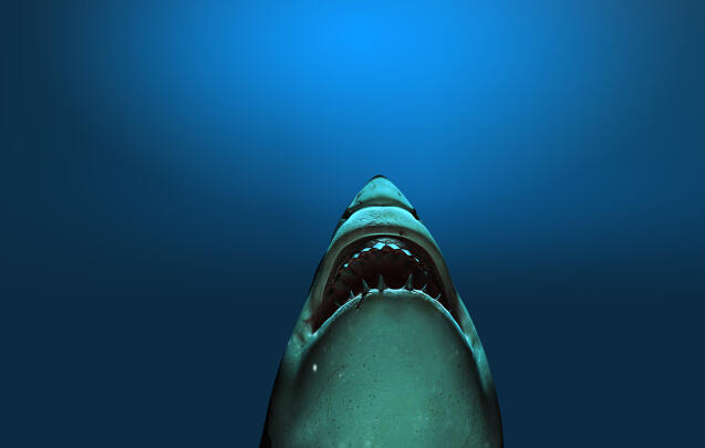 The World of Sharks (2D)