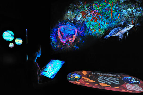 Creatures of Light: Nature's Bioluminescence