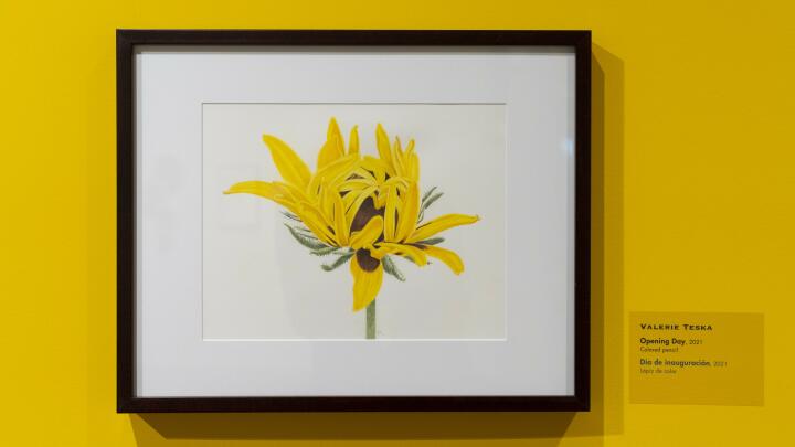 Golden Opportunity: Botanical Illustration