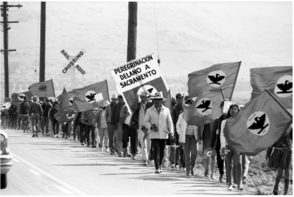 Building a New Future: Art and Activism in Farmworker Organizing