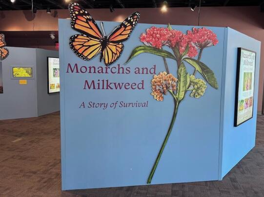 Monarchs and Milkweed: A Story of Survival