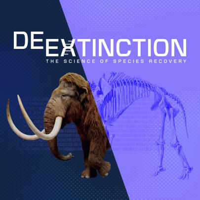 De-Extinction