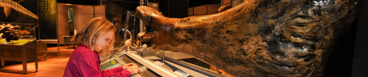 The World's Largest Dinosaurs