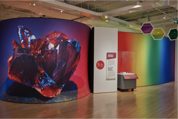 Wild Color IP Starter Kit